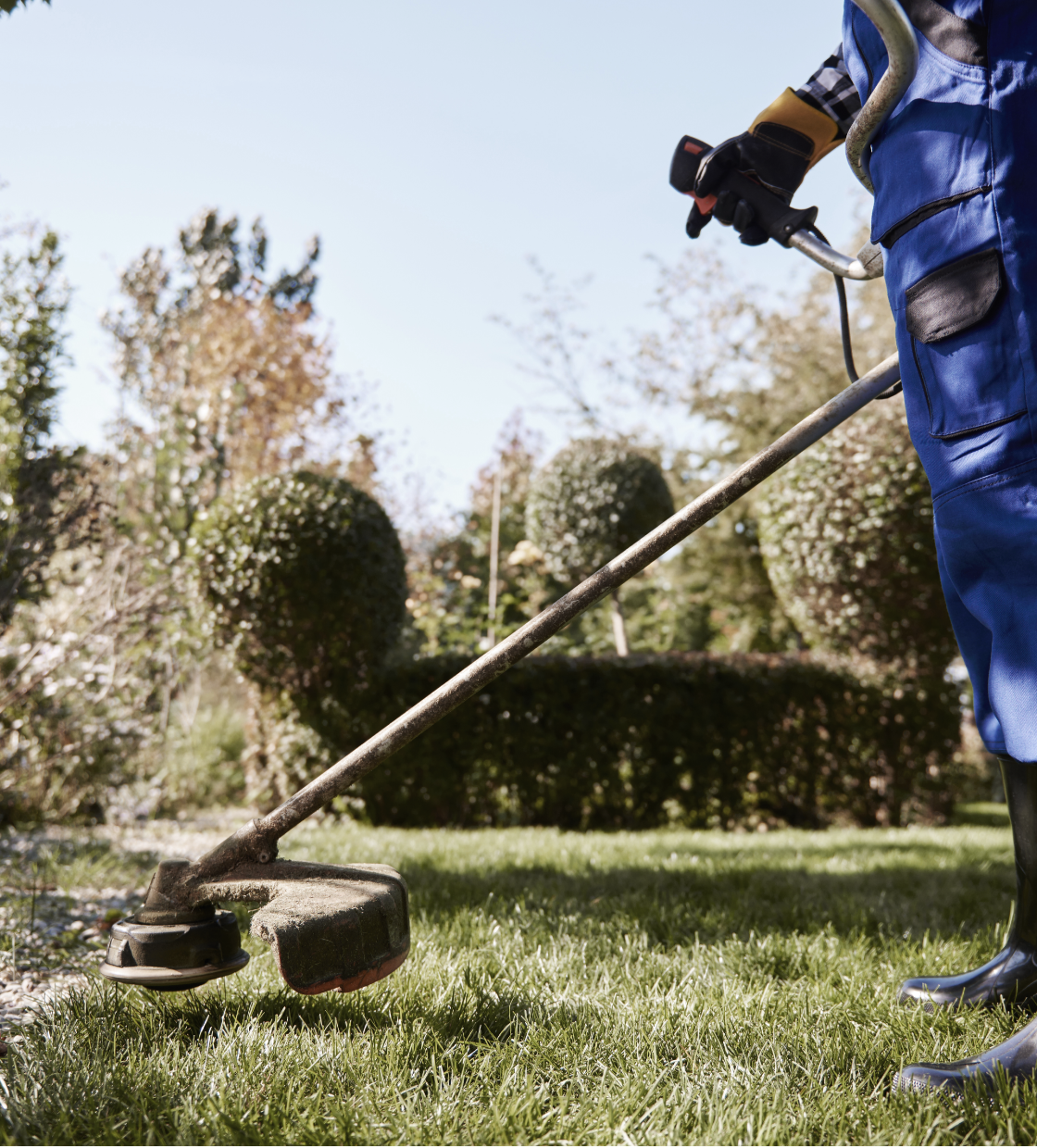 Landscape Gardening